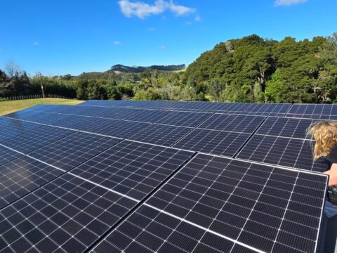 Croft Poles & Timber - gallery thumbnail